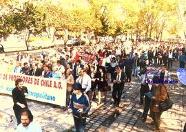 Marcha en calles de Santiago