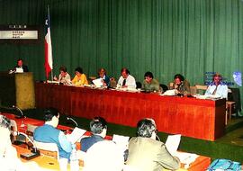 Asamblea Nacional Programática